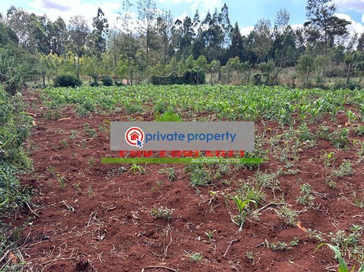 Residential Land For Sale &nbsp;ondiri Kikuyu Kiambu - 4