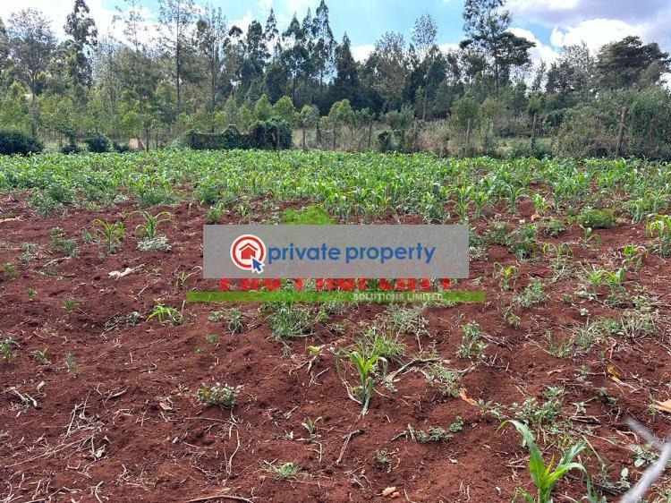 Residential Land For Sale &nbsp;ondiri Kikuyu Kiambu - 3