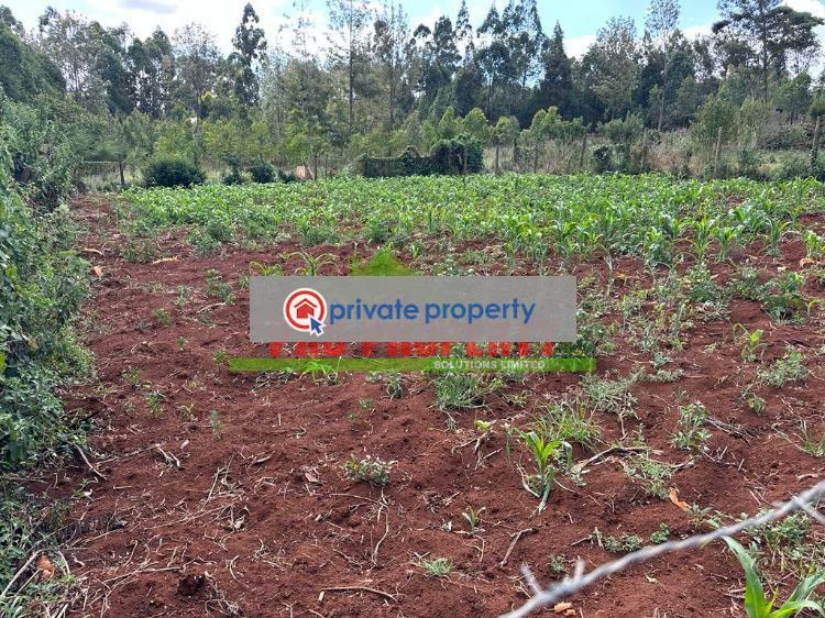 Residential Land For Sale &nbsp;ondiri Kikuyu Kiambu - 5