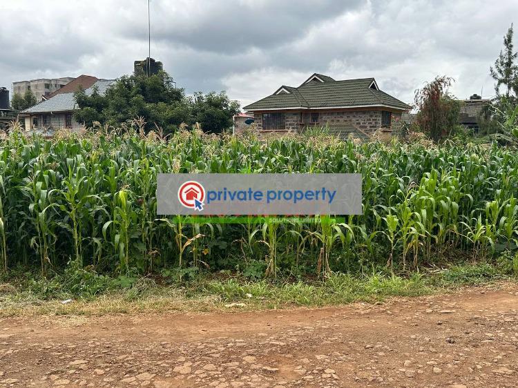 Residential Land For Sale &nbsp;thogoto Kikuyu Kiambu - 4