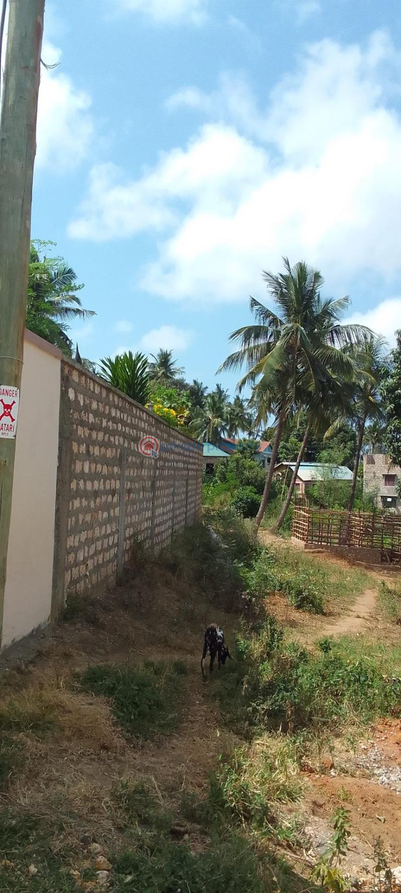 Residential Land For Sale Majaoni Shanzu Mombasa - 6