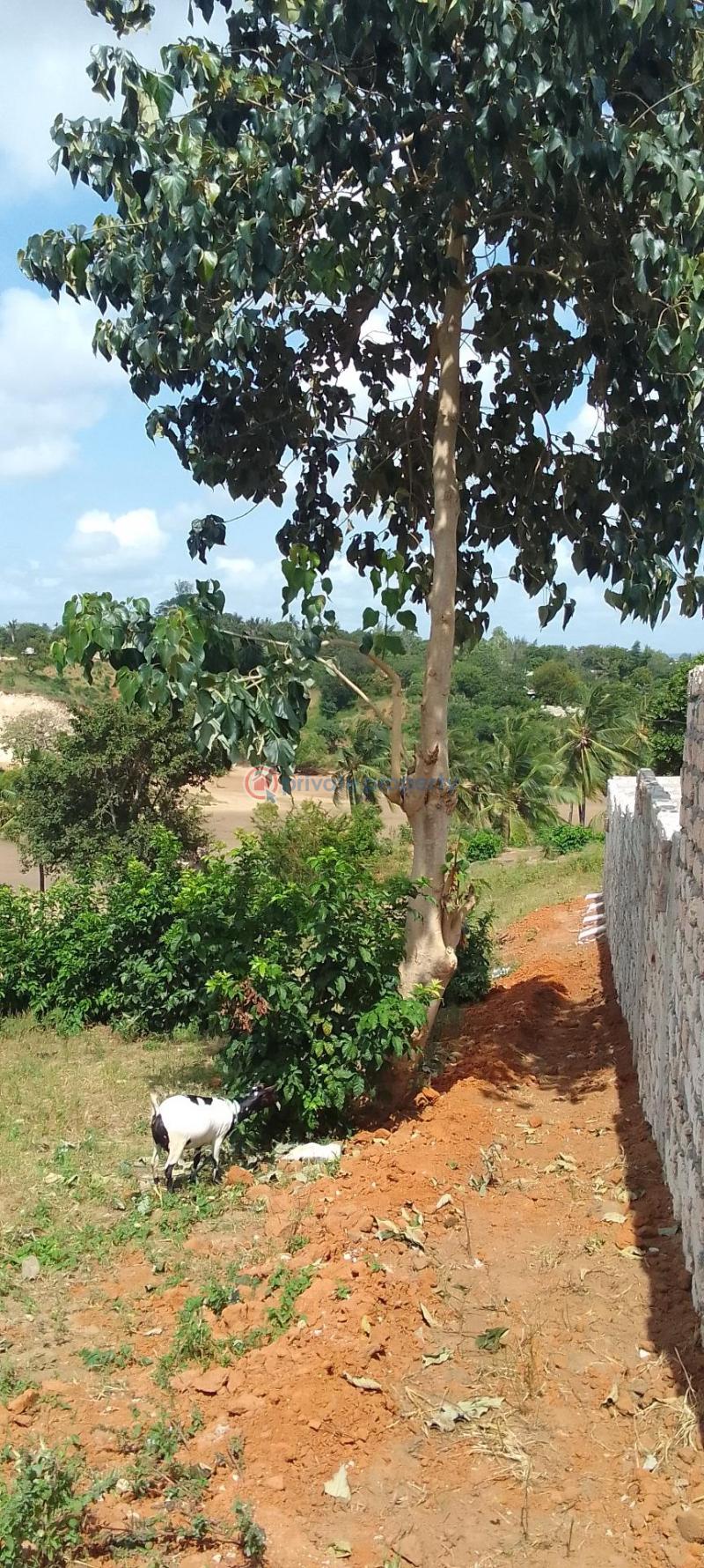 Residential Land For Sale Majaoni Shanzu Mombasa - 5