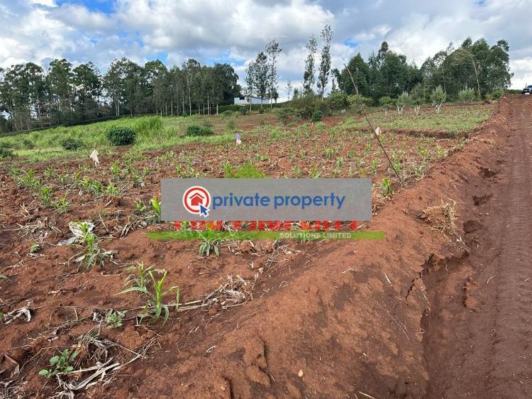 Residential Land For Sale &nbsp;gikambura Kikuyu Kiambu - 5
