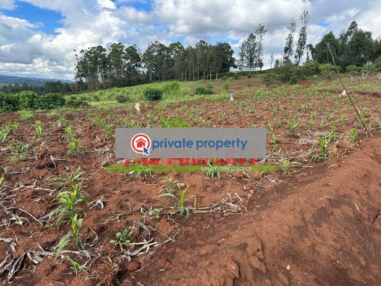 Residential Land For Sale &nbsp;gikambura Kikuyu Kiambu - 2