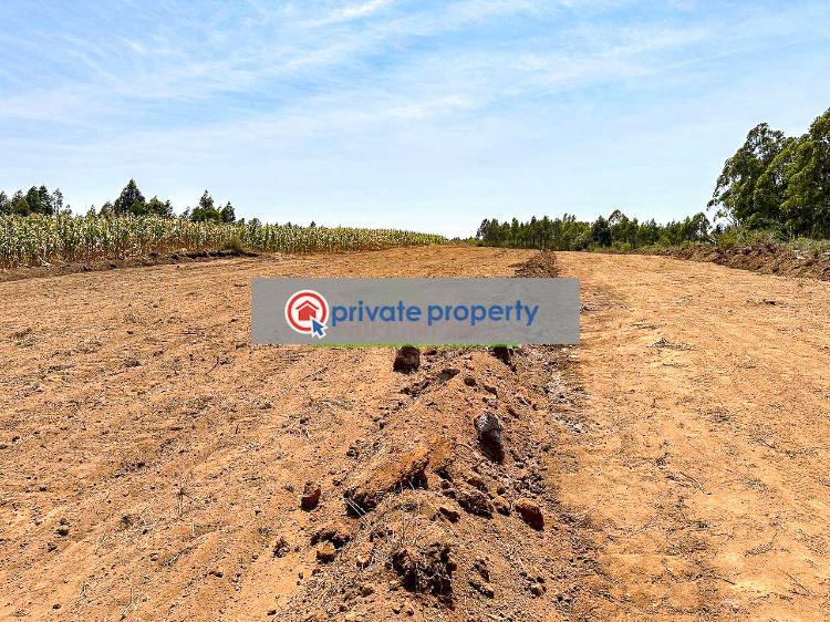 Residential Land For Sale &nbsp;kamangu Nguirubi Area Kikuyu Kiambu - 2
