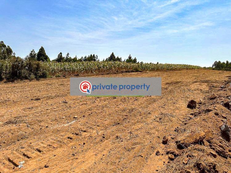 Residential Land For Sale &nbsp;kamangu Nguirubi Area Kikuyu Kiambu - 3