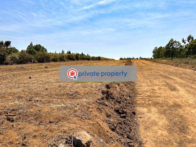 Residential Land For Sale &nbsp;kamangu Nguirubi Area Kikuyu Kiambu - 9