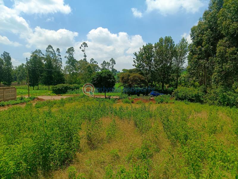 Residential Land For Sale Jambu Tv Gikambura Kikuyu Kiambu - 19