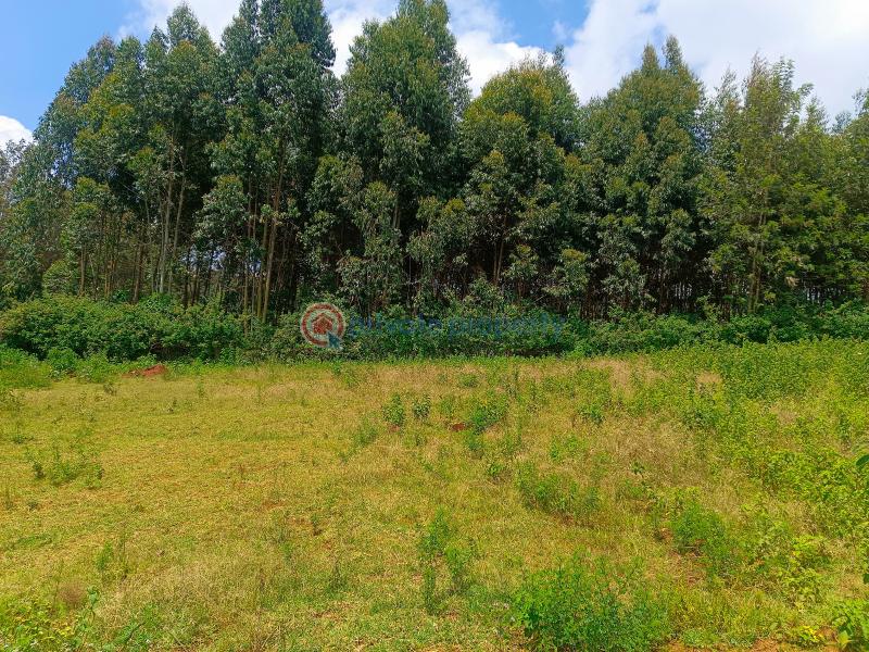 Residential Land For Sale Jambu Tv Gikambura Kikuyu Kiambu - 21