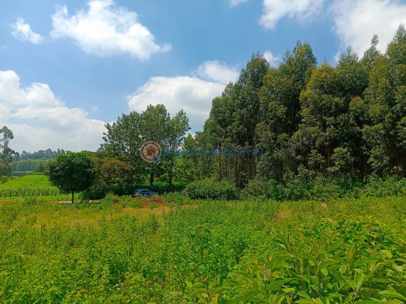 Residential Land For Sale Jambu Tv Gikambura Kikuyu Kiambu - 20