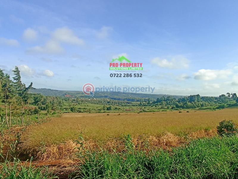 Residential Land For Sale Njumbi Road Gikambura Kikuyu Kiambu - 3