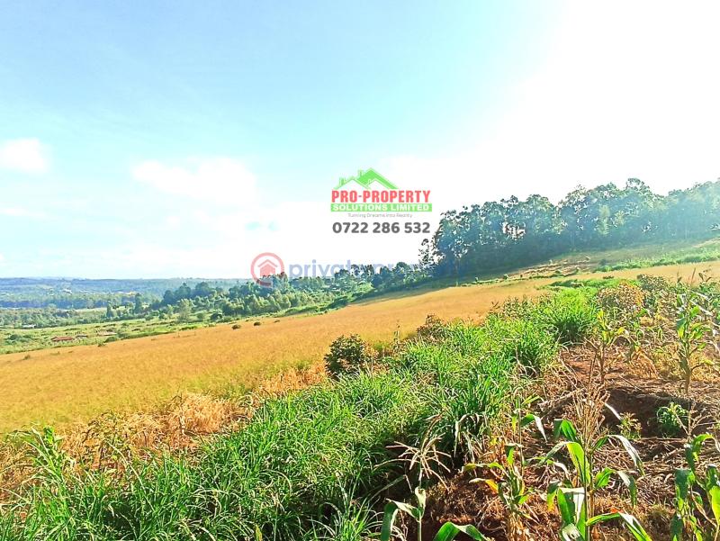 Residential Land For Sale Njumbi Road Gikambura Kikuyu Kiambu - 5