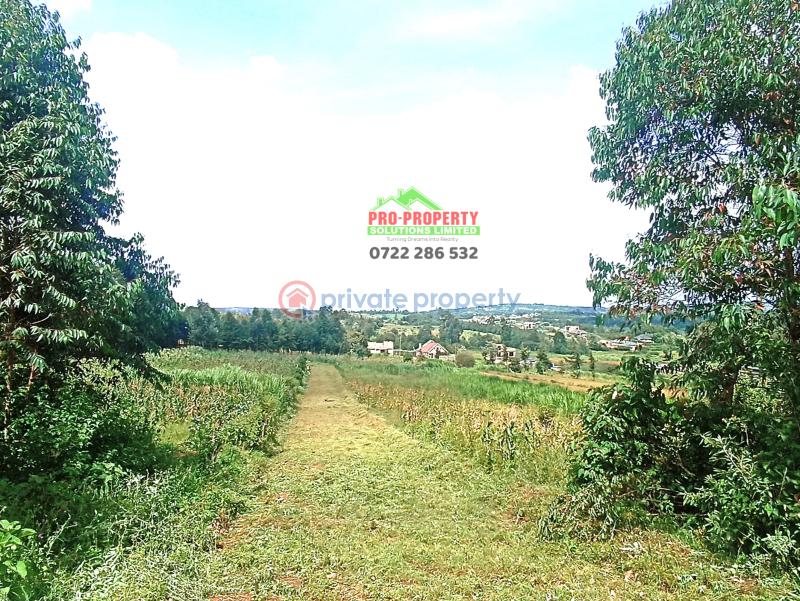 Residential Land For Sale Njumbi Road Gikambura Kikuyu Kiambu - 6
