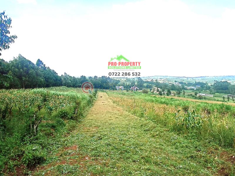 Residential Land For Sale Njumbi Road Gikambura Kikuyu Kiambu - 2