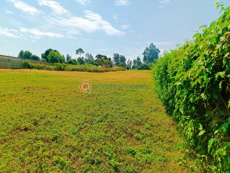 Residential Land For Sale Damacrest Area Gikambura Kikuyu Kiambu - 2