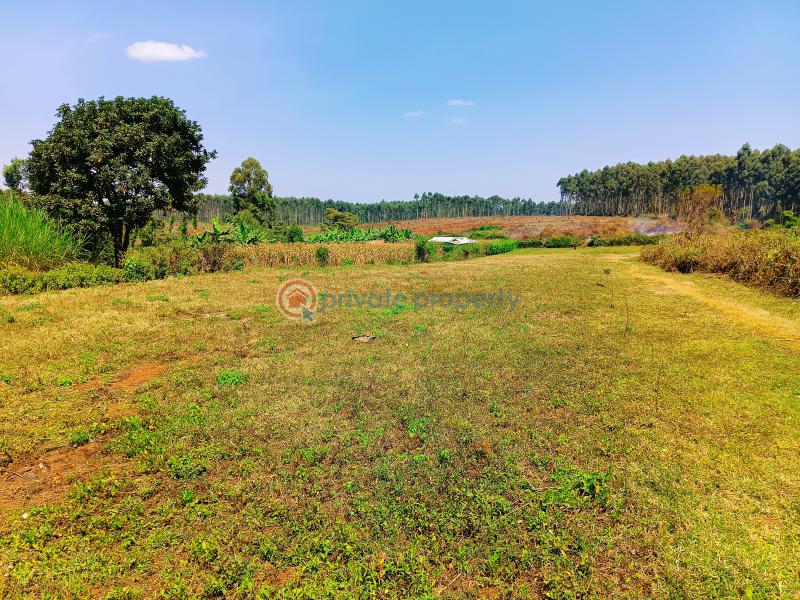 Residential Land For Sale Damacrest Area Gikambura Kikuyu Kiambu - 3