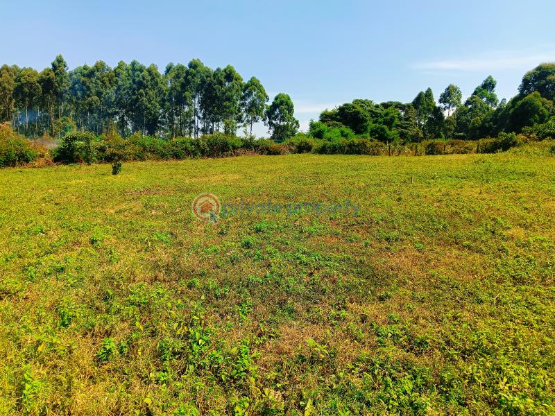 Residential Land For Sale Damacrest Area Gikambura Kikuyu Kiambu - 5