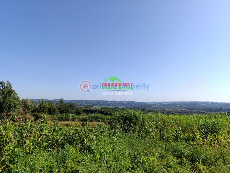 Residential Land For Sale Jambu Tv Rd Gikambura Kikuyu Kiambu - 4