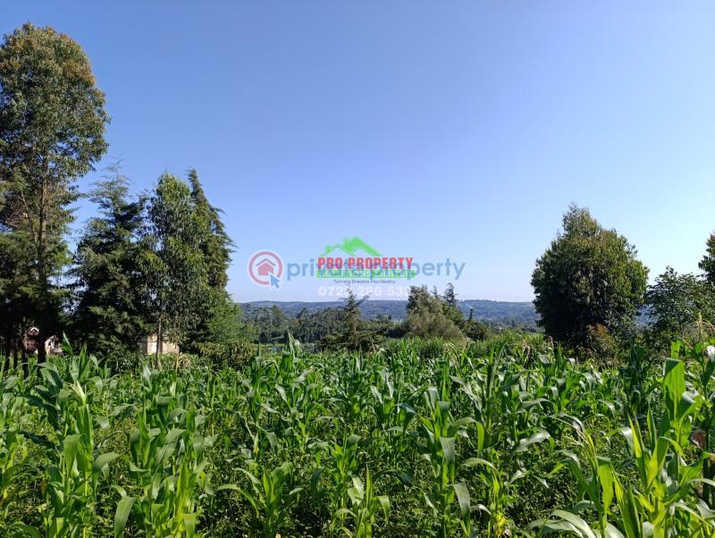 Residential Land For Sale Jambu Tv Rd Gikambura Kikuyu Kiambu - 2