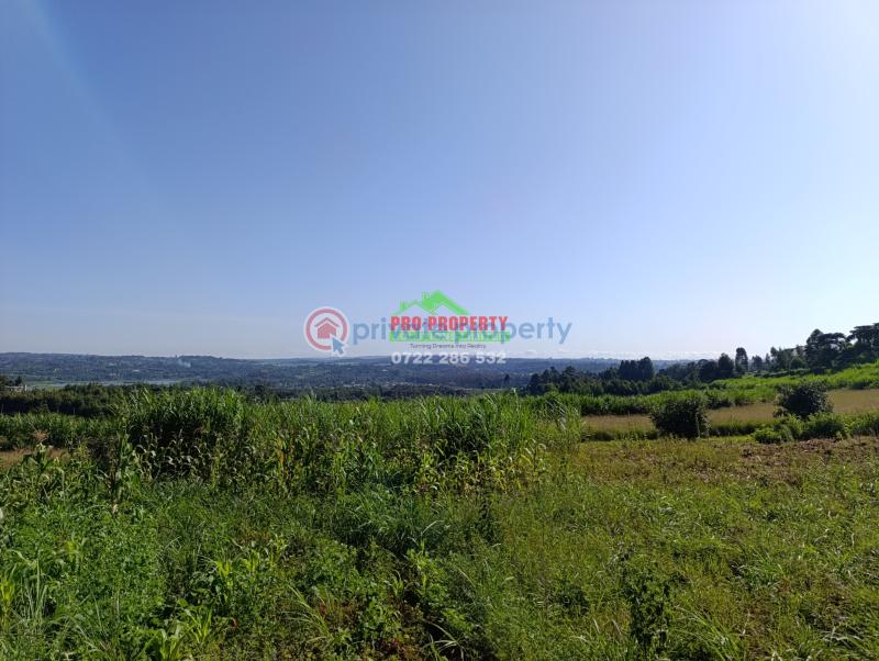 Residential Land For Sale Jambu Tv Rd Gikambura Kikuyu Kiambu - 5