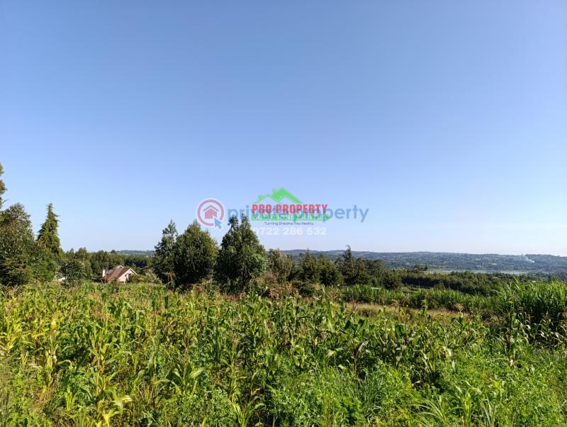 Residential Land For Sale Jambu Tv Rd Gikambura Kikuyu Kiambu - 3