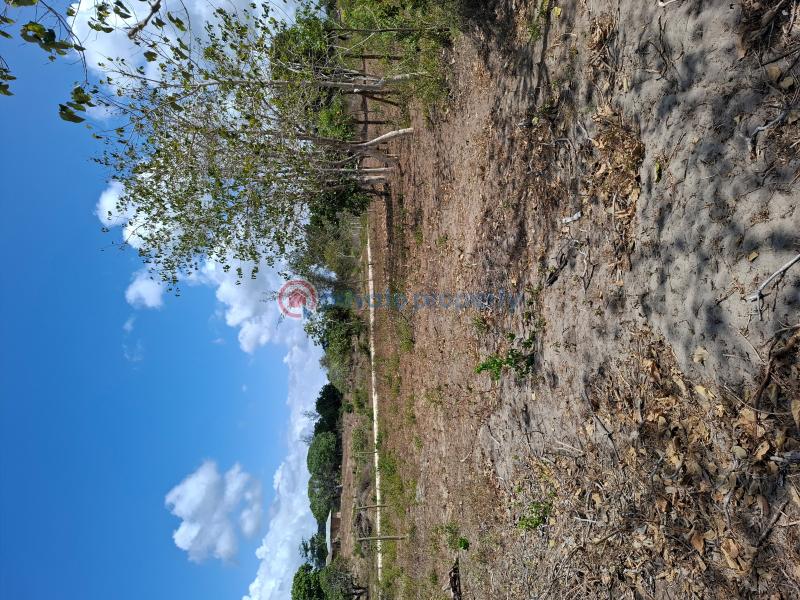 Land For Sale Matsangoni Kilifi - 4