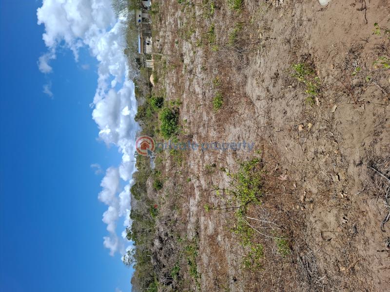 Land For Sale Matsangoni Kilifi - 0