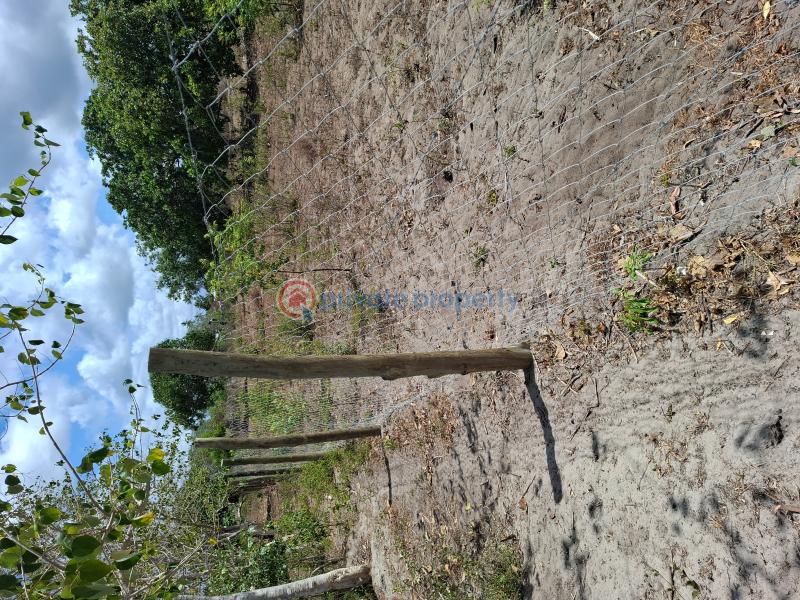 Land For Sale Matsangoni Kilifi - 1