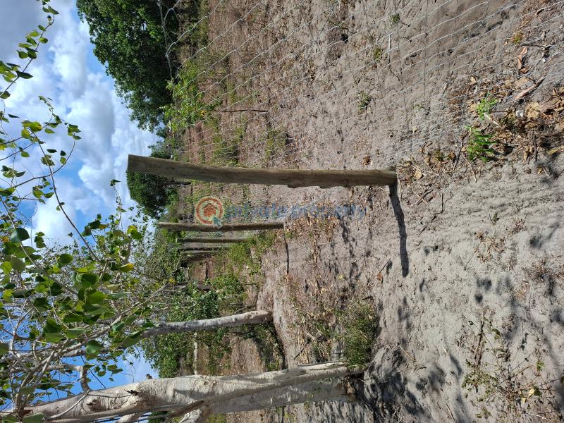 Land For Sale Matsangoni Kilifi - 2