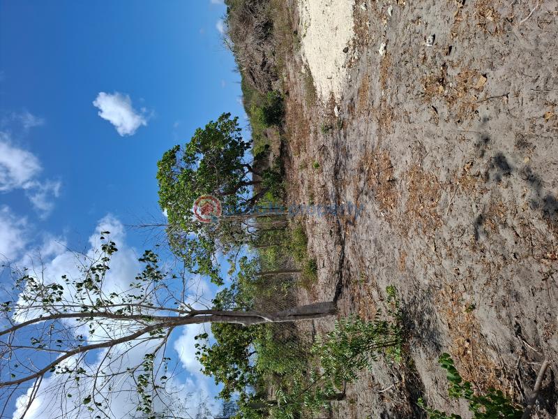 Land For Sale Matsangoni Kilifi - 7