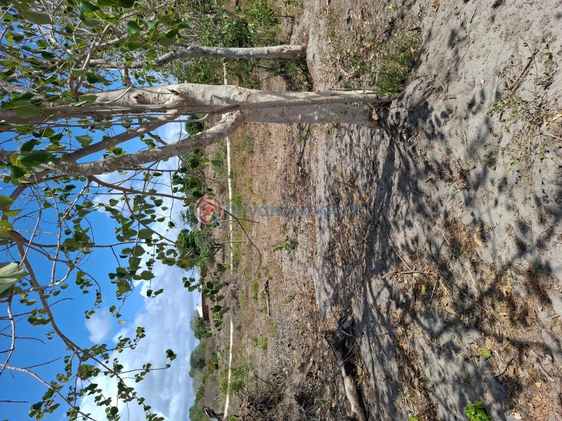 Land For Sale Matsangoni Kilifi - 5