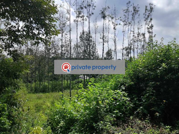 Residential Land For Sale &nbsp;olkeri Ngong Kajiado - 8