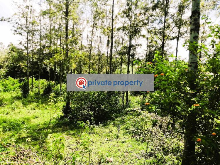 Residential Land For Sale &nbsp;olkeri Ngong Kajiado - 3