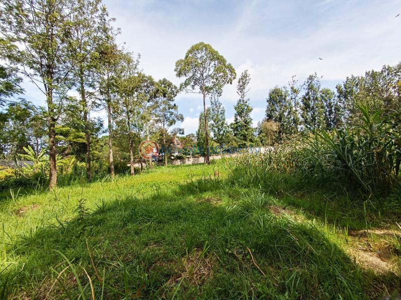 Commercial Land For Sale Ridgeways Pangani Nairobi - 5
