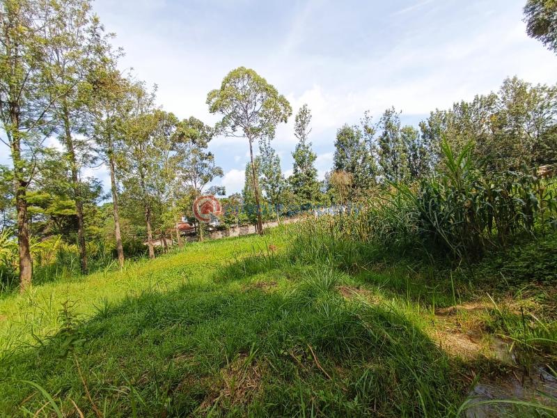 Commercial Land For Sale Ridgeways Pangani Nairobi - 3