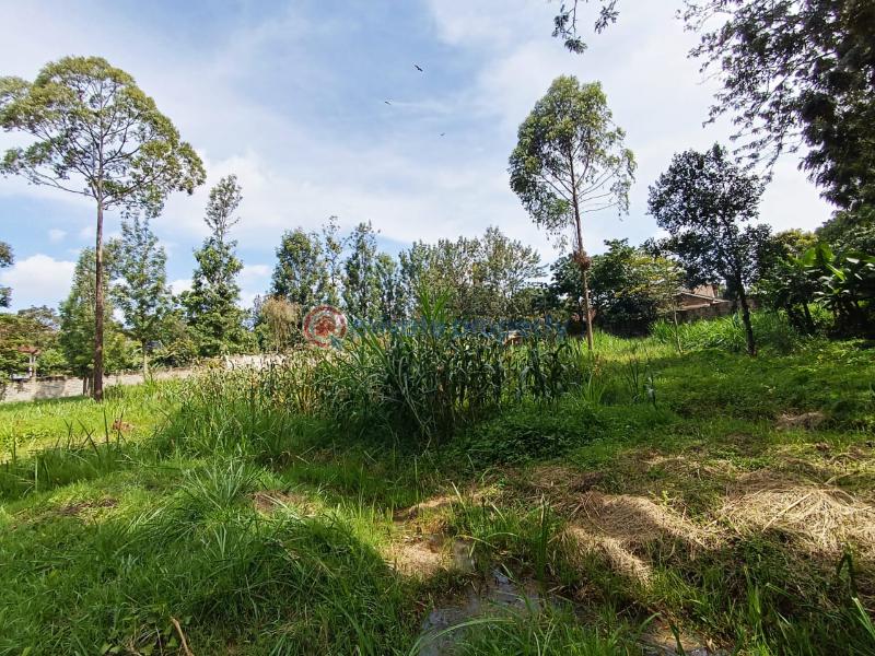Commercial Land For Sale Ridgeways Pangani Nairobi - 4