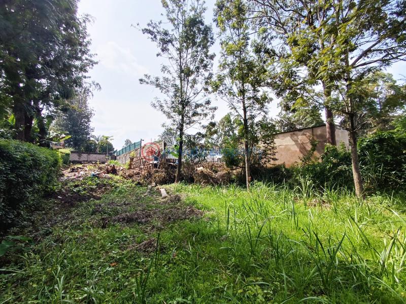 Commercial Land For Sale Ridgeways Pangani Nairobi - 2