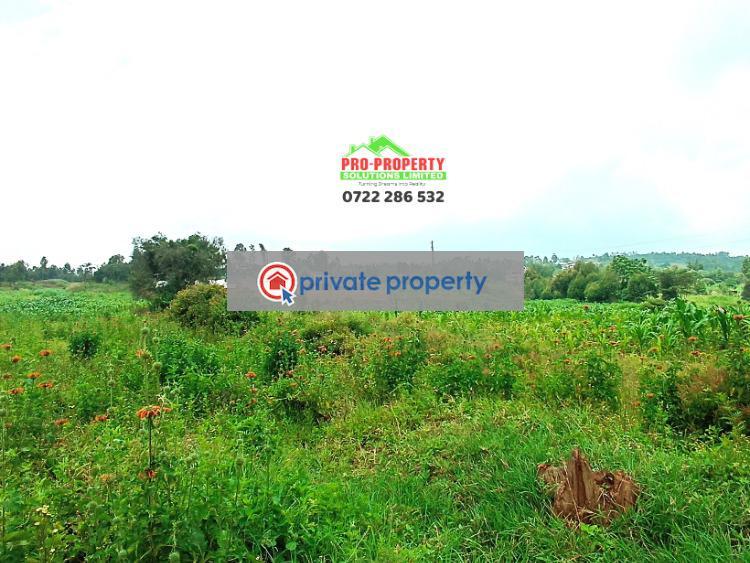 Residential Land For Sale &nbsp;lusingetti Kikuyu Kiambu - 3