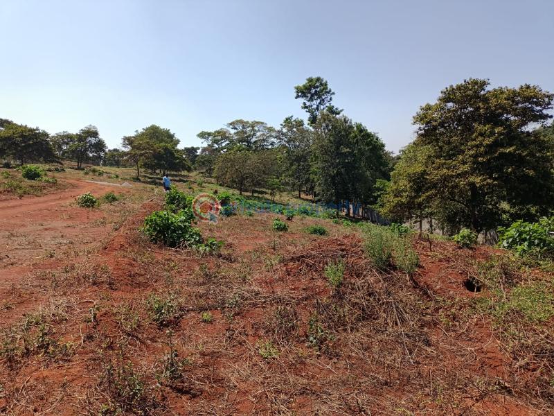 Commercial Land For Sale Ruiru Kiambu - 2