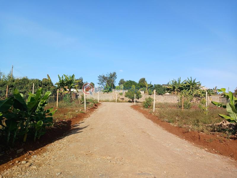 Land For Sale Ruiru (mugutha Estate) mugutha Ruiru Kiambu - 3