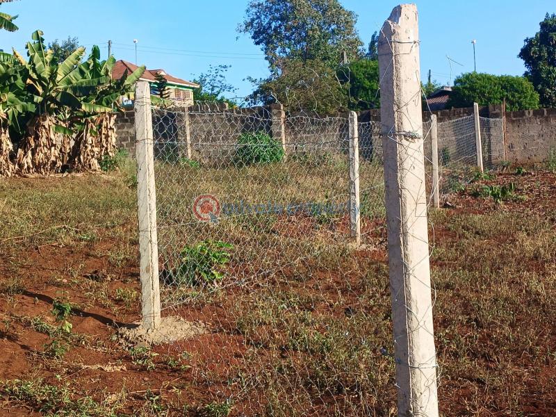 Land For Sale Ruiru (mugutha Estate) mugutha Ruiru Kiambu - 4