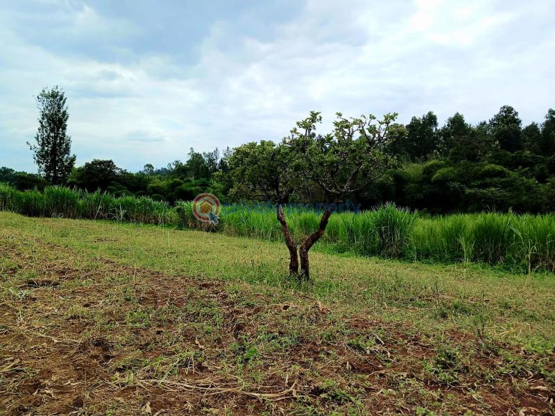 Commercial Land For Sale Makuyu Muranga - 7