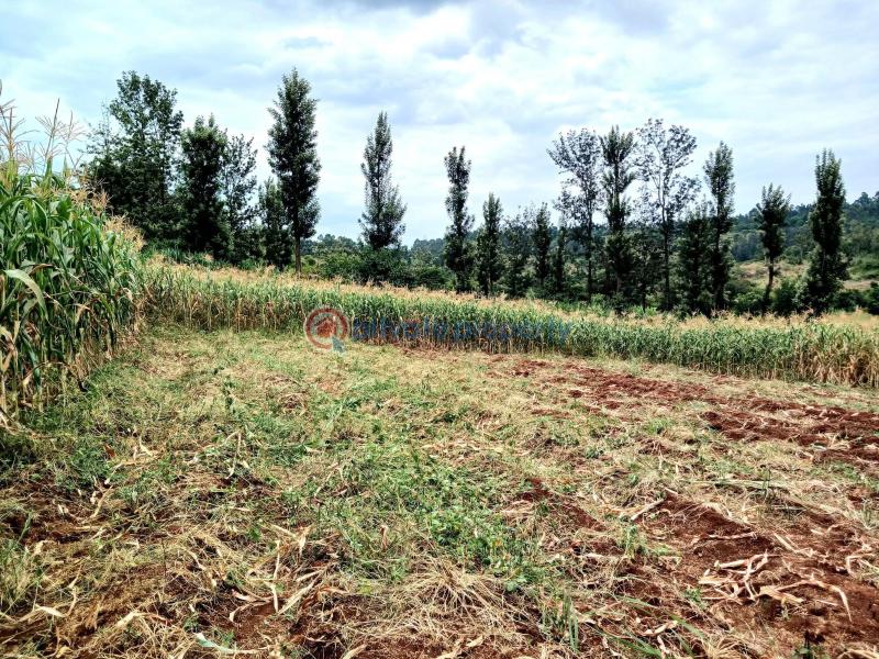 Commercial Land For Sale Makuyu Muranga - 5