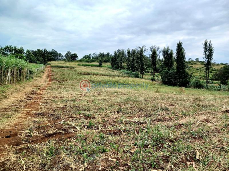 Commercial Land For Sale Makuyu Muranga - 3
