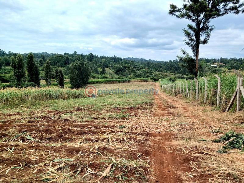 Commercial Land For Sale Makuyu Muranga - 1