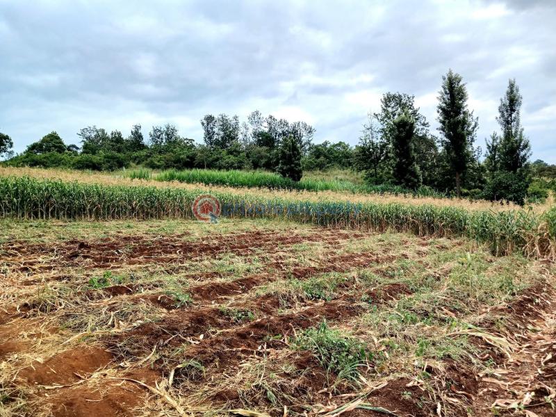 Commercial Land For Sale Makuyu Muranga - 6
