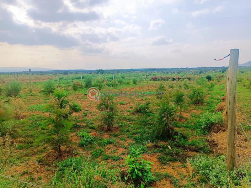 Residential Land For Sale Ndiuni Nguirubi Area Kikuyu Kiambu - 2