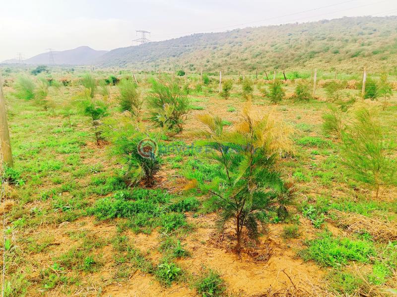Residential Land For Sale Ndiuni Nguirubi Area Kikuyu Kiambu - 4