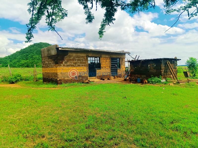 Residential Land For Sale Ndiuni Nguirubi Area Kikuyu Kiambu - 6