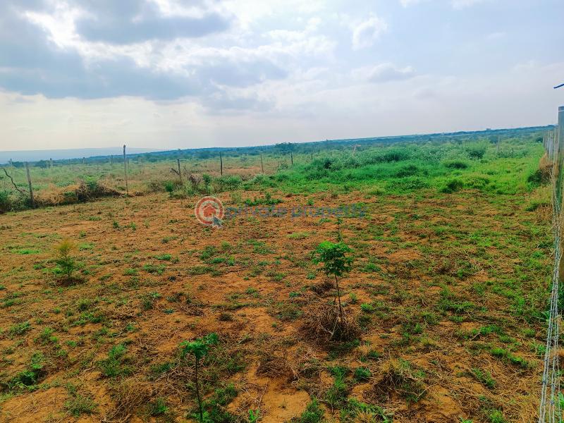 Residential Land For Sale Ndiuni Nguirubi Area Kikuyu Kiambu - 5